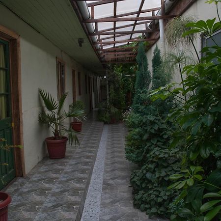 Hostel 1760 تالكا المظهر الخارجي الصورة